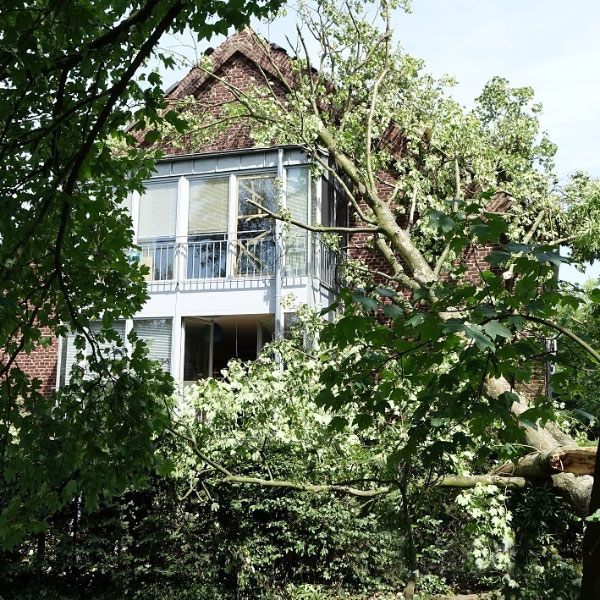 Sturmschaden an Wintergarten durch herabgefallenen Baum